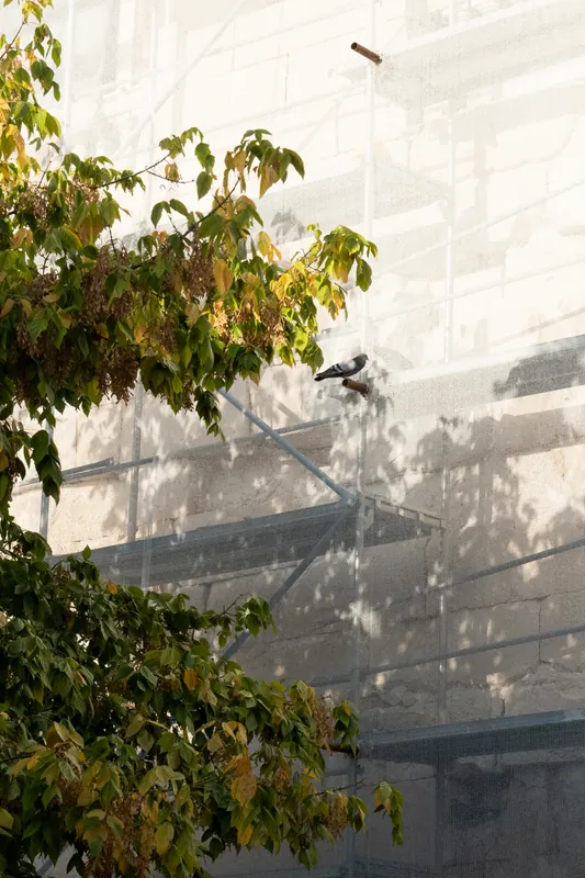 East wall, Diocletian's Palace. 2024.